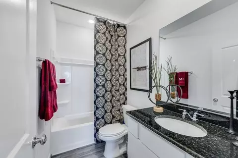 Bath - 727 Willow Grove Ln, Rosenberg, TX 77471 photo 5 of 8