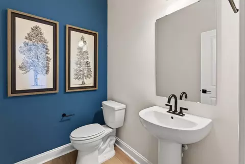 Bath - 263 Margot Manor Dr, Benson, NC 27504 photo 3 of 8
