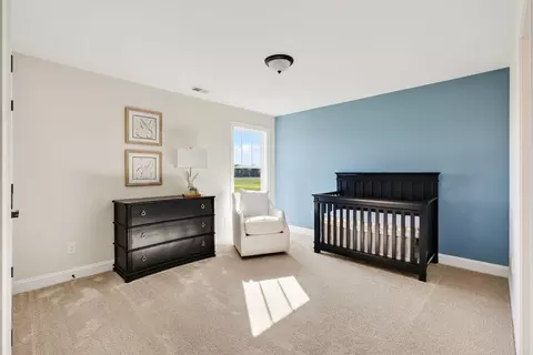 Bedroom - 263 Margot Manor Dr, Benson, NC 27504 photo 11 of 14