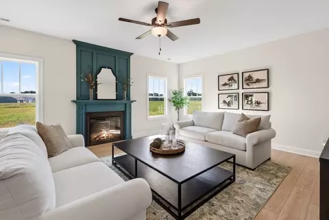 Living - 263 Margot Manor Dr, Benson, NC 27504 photo 4 of 4