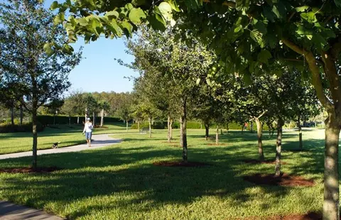 View/Area - 6231 Liberty St, Ave Maria, FL 34142 photo 23 of 32