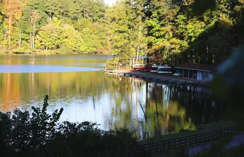 Other - 1225 Tea Rose Ct, Durham, NC 27703 photo 12 of 17