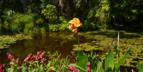 Other - 2186 86th Dr, Vero Beach, FL 32966 photo 6 of 7
