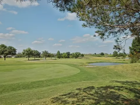 View/Area - 17521 Graces Path, Pflugerville, TX 78660 photo 4 of 4
