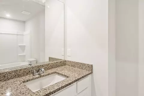 Bath - 711 Miller Tree Way, Elgin, SC 29045 photo 3 of 6