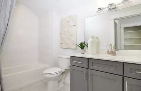 Bath - 3243 Del Webb Blvd, Aurora, IL 60503 photo 3 of 5
