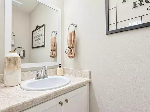 Bath - 12207 Cypress Branch St, Riverview, FL 33579 photo 4 of 6