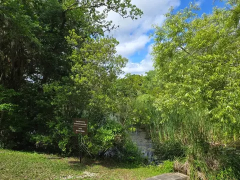 Other - 95 Cypress Bluff Way, Saint Augustine, FL 32084 photo 4 of 10