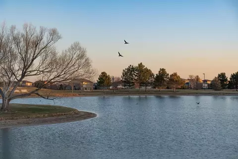 View/Area - 17599 E 103rd Dr, Commerce City, CO 80022 photo 13 of 16