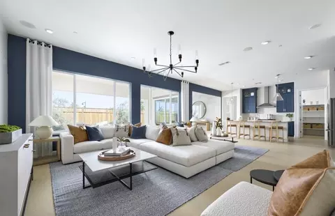 Living - 3540 Fitzgerald Cir, Lathrop, CA 95330 photo 9 of 11