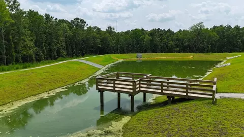 View/Area - 901 Wicksford Pl, Moncks Corner, SC 29461 photo 2 of 2