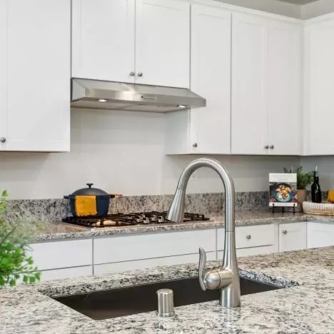 Kitchen - 1142 Dapple Dr, Minden, NV 89423 photo 3 of 8