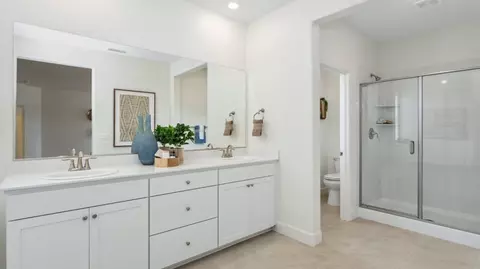 Bath - 1142 Dapple Dr, Minden, NV 89423 photo 1 of 6