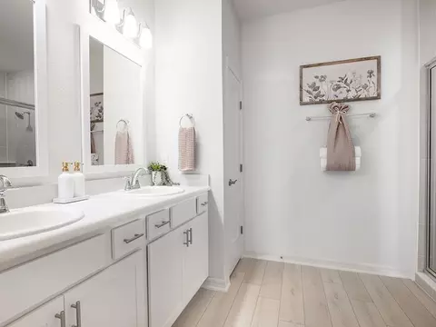 Bath - 2641 Scenic Park Loop, Wimauma, FL 33598 photo 1 of 2