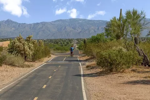 Other - 9112 E Indigo Bluff St, Tucson, AZ 85730 photo 8 of 8