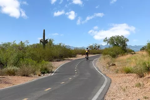 Other - 9112 E Indigo Bluff St, Tucson, AZ 85730 photo 7 of 8