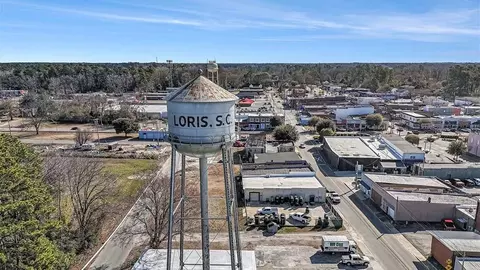 View/Area - 826 Farmers Passage Loop, Loris, SC 29569 photo 11 of 11