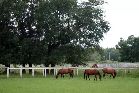 Other - 5013 Tullamore Dr, Aiken, SC 29801 photo 6 of 11