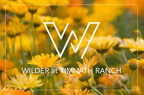 Other - 6838 Stonebrook Dr, Timnath, CO 80547 photo 6 of 8