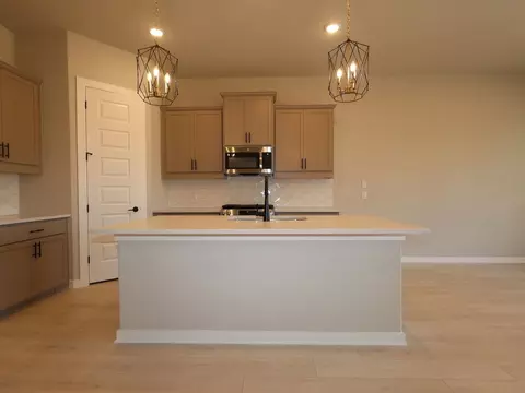 Kitchen - 275 Callahan Loop, Buda, TX 78610 photo 2 of 2