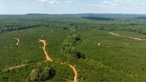 View/Area - 5 Mitchell Rd, Fortson, GA 31808 photo 2 of 20