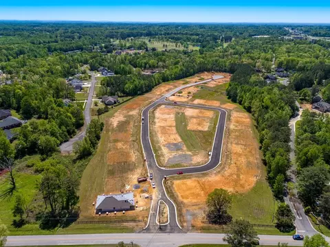 View/Area - 35 Overland Pass, Arab, AL 35016 photo 2 of 8