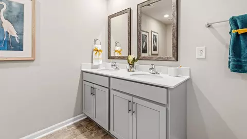 Bath - 809 Embark Cir, Greer, SC 29651 photo 7 of 9