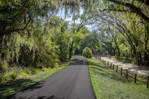 2106 Great Egret Cir, Ocoee, FL 34761 photo 15