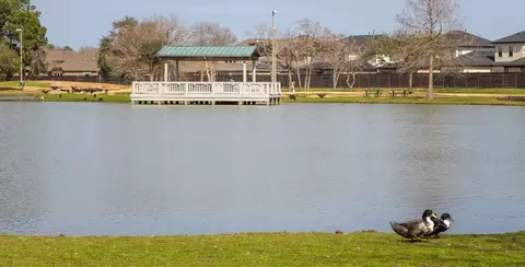 View/Area - 3056 Sunset Glory Dr, Katy, TX 77493 photo 7 of 8