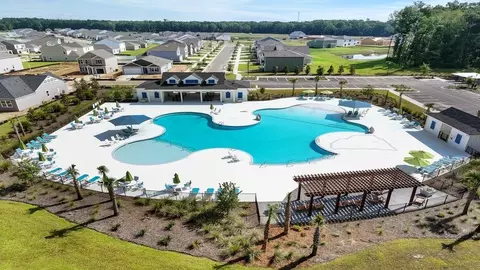 Exterior - 412 Wild Olive Dr, Moncks Corner, SC 29461 photo 2 of 5