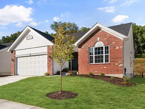 Exterior - 1 Hazel Ct, Wright City, MO 63390 photo 21 of 45