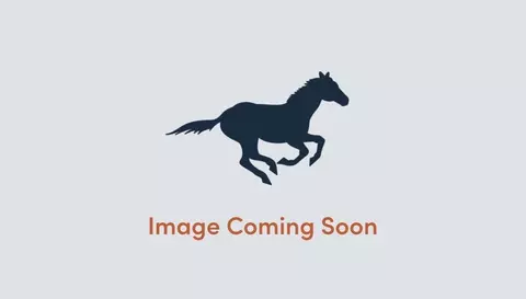 Other - 7900 Skytree Dr, Austin, TX 78744 photo 1 of 2
