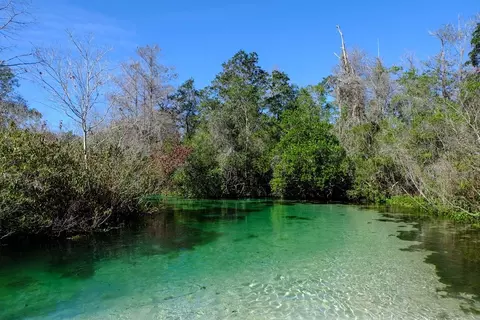 View/Area - 13524 Spring Hill Dr, Spring Hill, FL 34609 photo 1 of 1