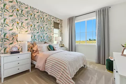 Bedroom - 4552 Strandberg Ave, Lathrop, CA 95330 photo 5 of 20