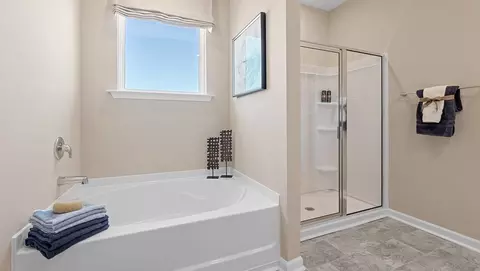 Bath - 201 Forest Brook Dr, Easley, SC 29640 photo 4 of 5