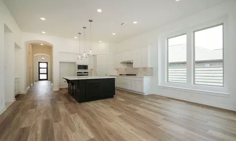 Entry Way - 204 Shady Spring Trl, Georgetown, TX 78628 photo 3 of 5