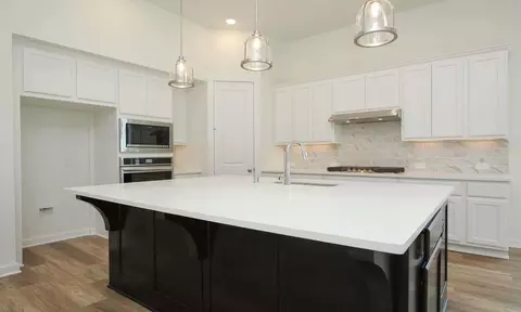 Kitchen - 204 Shady Spring Trl, Georgetown, TX 78628 photo 4 of 5