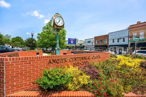 Other - 46 Denali Dr, Angier, NC 27501 photo 9 of 12