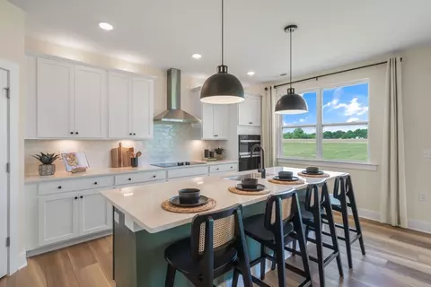 Kitchen - 46 Denali Dr, Angier, NC 27501 photo 1 of 3