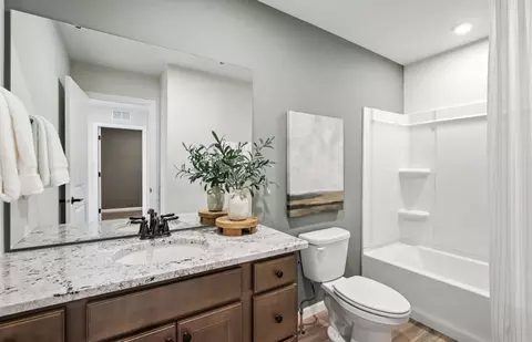 Bath - 5852 Hawkweed Dr, Naperville, IL 60564 photo 4 of 5