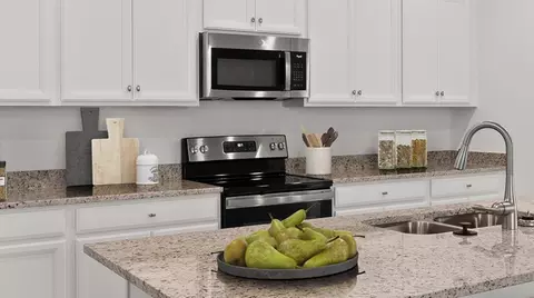 Kitchen - 3103 E Windsor Dr, Alva, FL 33920 photo 2 of 2