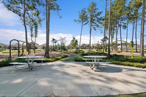 22744 Hackberry Leaf Dr, New Caney, TX 77357 photo 11
