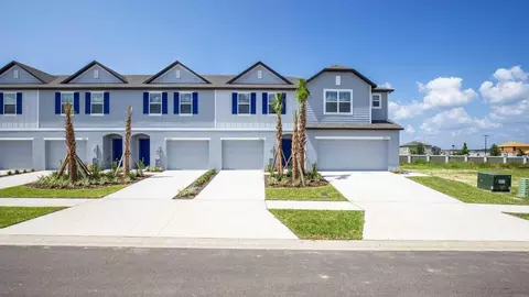 10703 Ironwood Tree Way, San Antonio, FL 33576