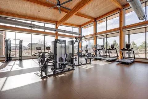 View/Area - 24422 Celestial Lily Dr, Katy, TX 77493 photo 9 of 12