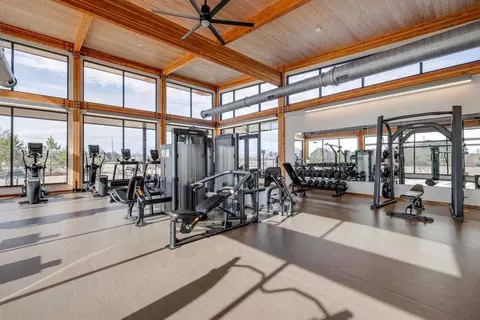 View/Area - 24422 Celestial Lily Dr, Katy, TX 77493 photo 8 of 12