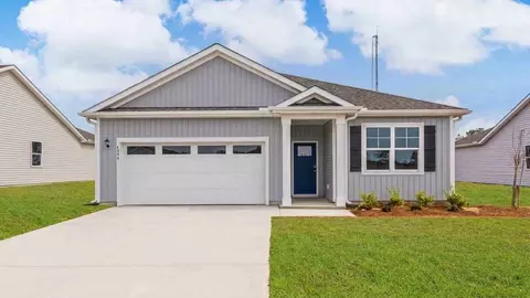 1010 Pampas Grass Dr #LOT 325, Castle Hayne, NC 28429