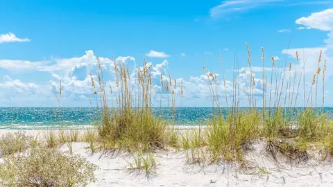 View/Area - 1592 Pathways Dr, Inlet Beach, FL 32461 photo 2 of 5