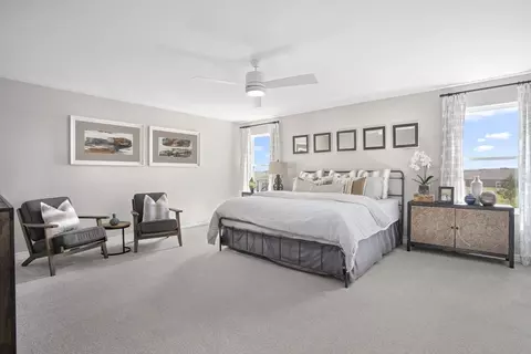 Bedroom - 20303 Lavender Bloom Loop, Mount Dora, FL 32757 photo 1 of 1