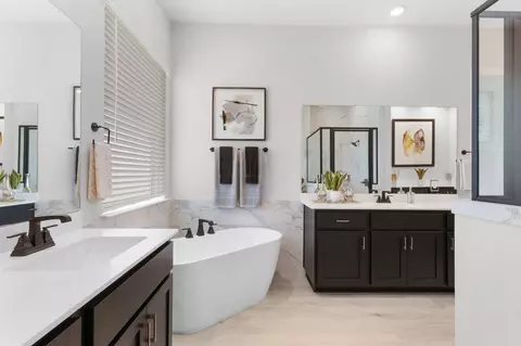 Bath - 1673 Willow Bean Dr, Georgetown, TX 78633 photo 1 of 1