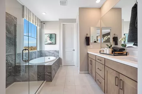 Bath - 22846 E Firestone Dr, Queen Creek, AZ 85142 photo 3 of 6